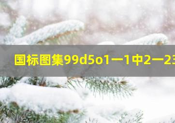 国标图集99d5o1一1中2一23页