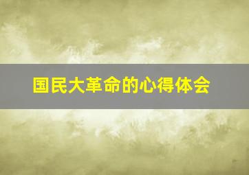 国民大革命的心得体会(