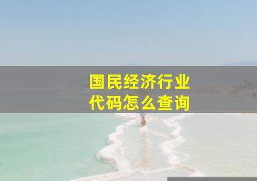 国民经济行业代码怎么查询