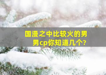 国漫之中比较火的男男cp你知道几个?