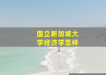 国立新加坡大学经济学怎样