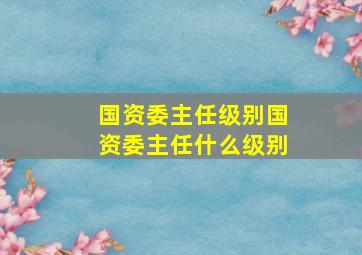 国资委主任级别国资委主任什么级别