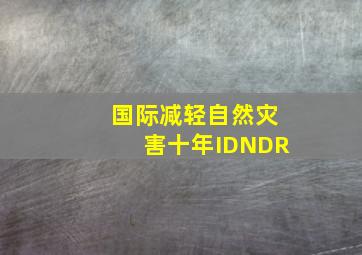 国际减轻自然灾害十年(IDNDR)