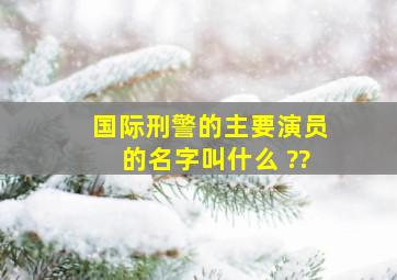 国际刑警的主要演员的名字叫什么 ??