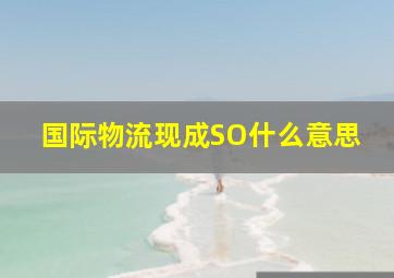 国际物流现成SO什么意思