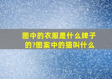 图中的衣服是什么牌子的?图案中的猫叫什么