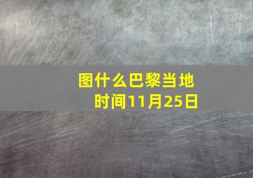 图什么巴黎,当地时间11月25日