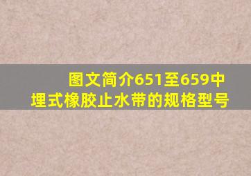 图文简介651至659中埋式橡胶止水带的规格型号