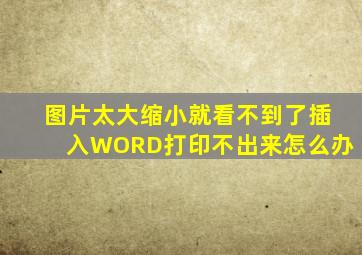 图片太大缩小就看不到了插入WORD打印不出来怎么办(