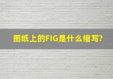 图纸上的FIG是什么缩写?