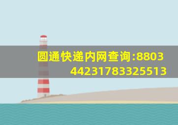 圆通快递内网查询:880344231783325513