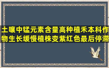 土嚷中锰元素含量高,种植禾本科作物生长缓慢植株变紫红色,最后停滞...