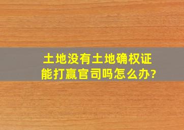 土地没有土地确权证能打赢官司吗怎么办?