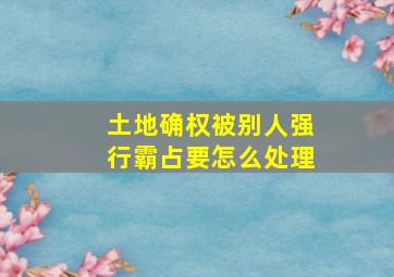 土地确权被别人强行霸占要怎么处理