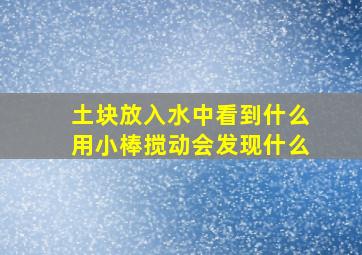 土块放入水中看到什么,用小棒搅动会发现什么