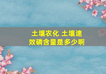 土壤农化 土壤速效磷含量是多少啊