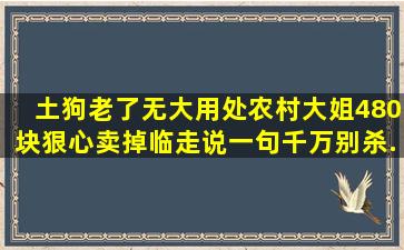 土狗老了无大用处,农村大姐480块狠心卖掉,临走说一句千万别杀...