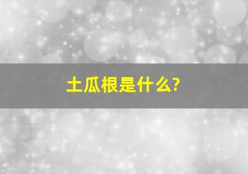 土瓜根是什么?