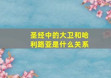 圣经中的大卫和哈利路亚是什么关系(