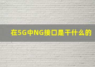 在5G中NG接口是干什么的(