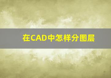 在CAD中怎样分图层