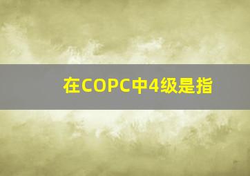 在COPC中,4级是指