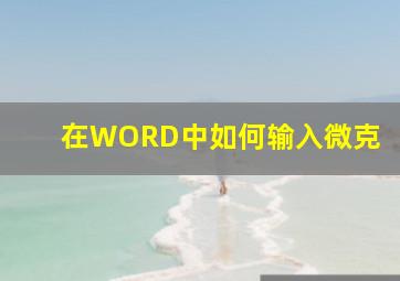 在WORD中如何输入微克