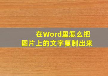 在Word里,怎么把图片上的文字复制出来