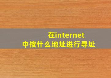 在internet中按什么地址进行寻址