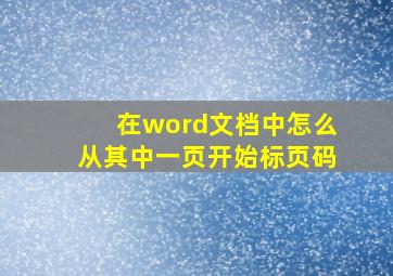 在word文档中怎么从其中一页开始标页码