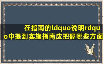 在《指南》的“说明”中提到实施《指南》应把握哪些方面?