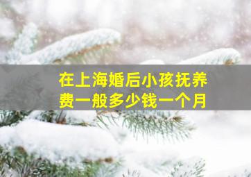 在上海,婚后小孩抚养费一般多少钱一个月