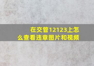 在交管12123上怎么查看违章图片和视频 