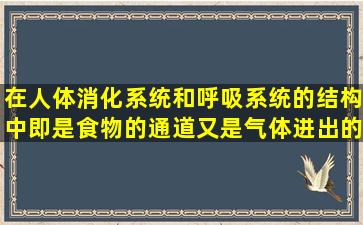 在人体消化系统和呼吸系统的结构中,即是食物的通道又是气体进出的...