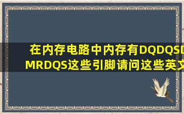 在内存电路中内存有DQDQSDMRDQS这些引脚请问这些英文缩写...