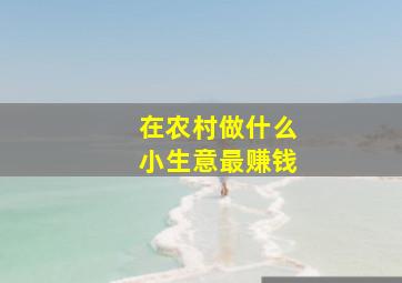 在农村做什么小生意最赚钱