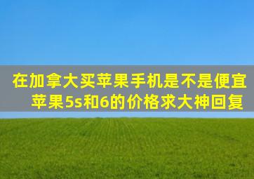 在加拿大买苹果手机是不是便宜苹果5s和6的价格求大神回复