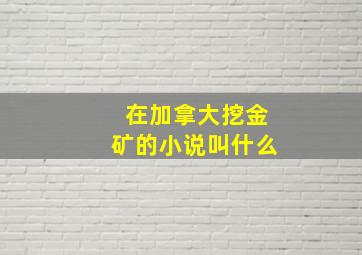 在加拿大挖金矿的小说叫什么