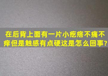 在后背上面有一片小疙瘩,不痛不痒,但是触感有点硬,这是怎么回事?