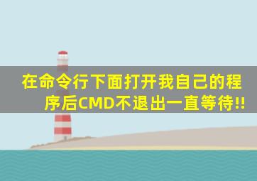 在命令行下面打开我自己的程序后CMD不退出,一直等待!!