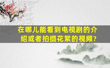 在哪儿能看到电视剧的介绍或者拍摄花絮的视频?