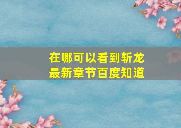 在哪可以看到斩龙最新章节百度知道