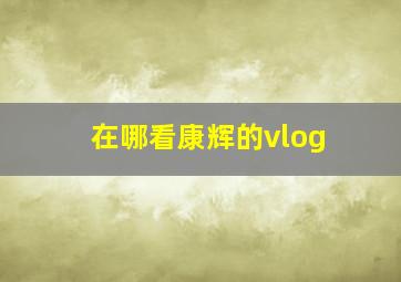 在哪看康辉的vlog