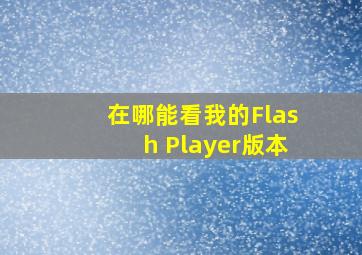 在哪能看我的Flash Player版本