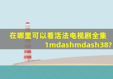 在哪里可以看活法电视剧全集1——38?