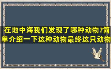 在地中海,我们发现了哪种动物?简单介绍一下这种动物。最终这只动物...