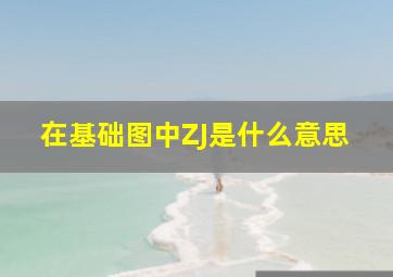 在基础图中ZJ是什么意思