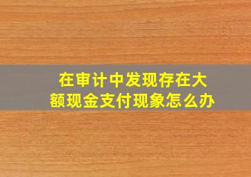 在审计中发现存在大额现金支付现象怎么办