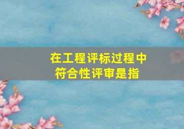 在工程评标过程中,符合性评审是指( )。