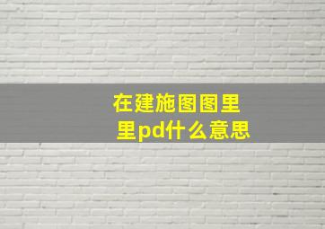 在建施图图里里pd什么意思